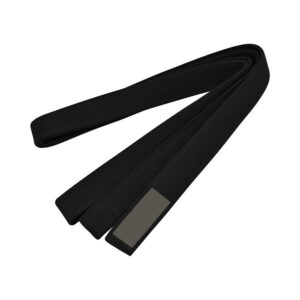 Martial Arts Double Wrap Solid Rank Belt